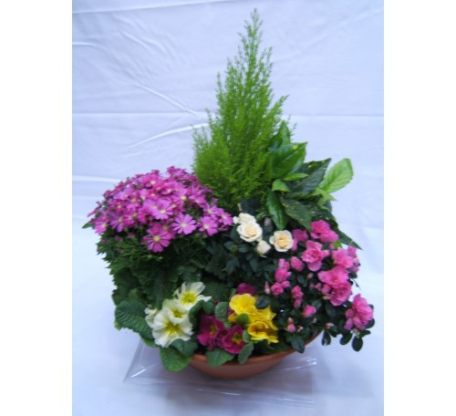 Coupe de plantes vertes et fleuries