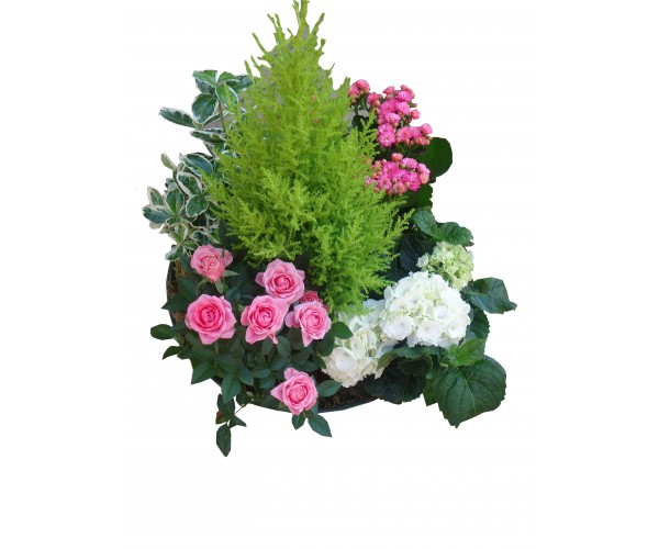 Bondy 93 Livraison De Fleurs Florafrance