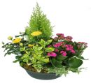 COUPE DE PLANTES POUR OBSEQUES