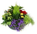 coupe de plantes sepulture