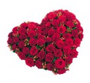 COEUR DE ROSES ROUGES ref COE 01