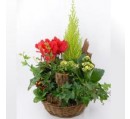 coupe de plantes funérarium de Lyon 