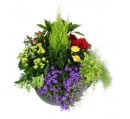 coupe de plantes sepulture