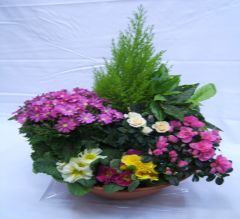 Envoi  de fleurs à ARGENTEUIL (95100)