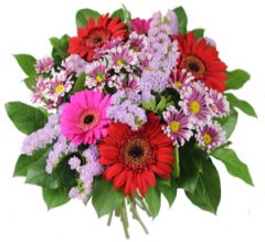 LIVRAISON DE FLEURS EFL 011  